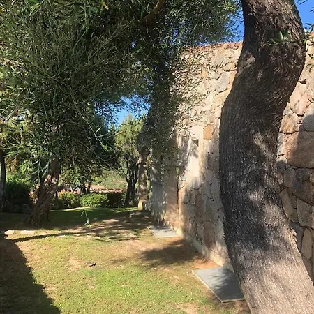 I Ginepri N 3
